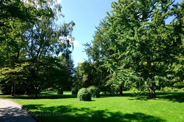 2020 09 03 Insel Mainau,_DSD_7120_b_488px